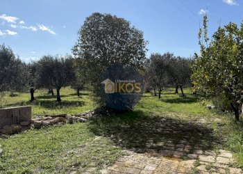 Foto 31 - Rustico Contrada Sorba
 
snc, Monopoli - foto 31