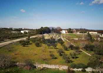 Foto 44 - Rustico Contrada Sorba
 
snc, Monopoli - foto 44