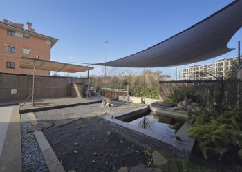 Terrazza - Three-room apartment via aldo bibolini, Roma - photo 40