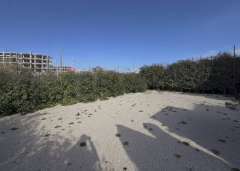 Vista dell\'acqua - Three-room apartment via aldo bibolini, Roma - photo 51