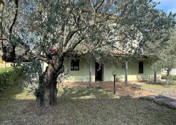 Giardino - Independent house Via Madonna delle Grotte
 
161, Rocchetta a Volturno - photo 23