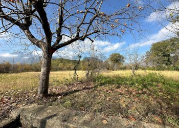 Giardino - Independent house Via Madonna delle Grotte
 
161, Rocchetta a Volturno - photo 41