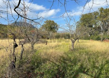 Giardino - Independent house Via Madonna delle Grotte
 
161, Rocchetta a Volturno - photo 42