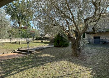 Giardino - Independent house Via Madonna delle Grotte
 
161, Rocchetta a Volturno - photo 54