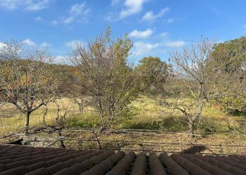 Giardino - Independent house Via Madonna delle Grotte
 
161, Rocchetta a Volturno - photo 84