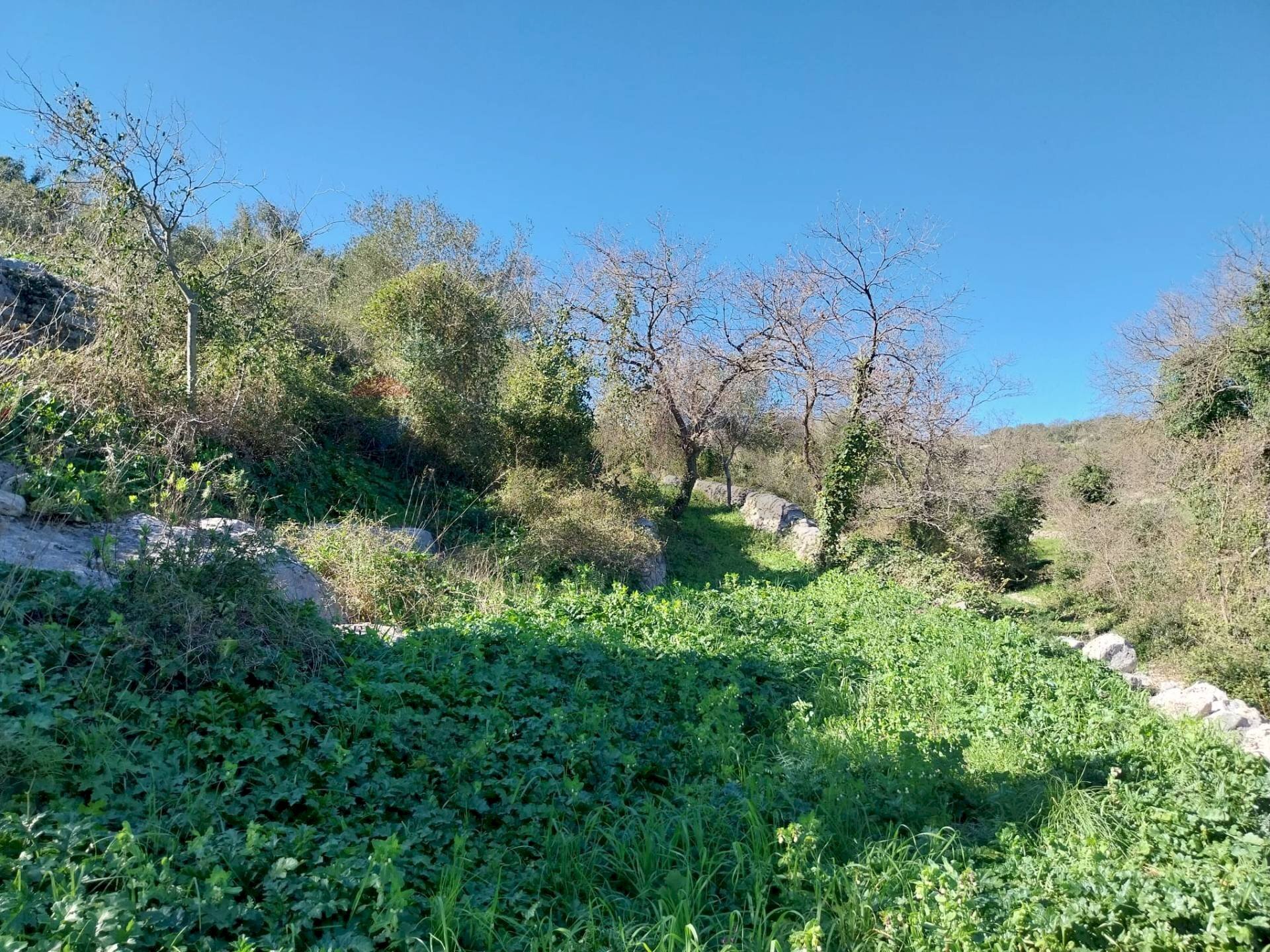 Giardino - Terreno agricolo contrada Fasana, Modica - foto 3
