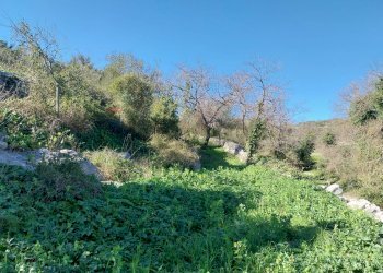 Giardino - Terreno agricolo contrada Fasana, Modica - foto 3