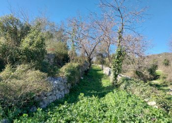 Giardino - Terreno agricolo contrada Fasana, Modica - foto 4