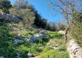Giardino - Terreno agricolo contrada Fasana, Modica - foto 5
