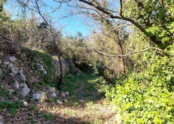 Giardino - Terreno agricolo contrada Fasana, Modica - foto 6