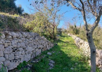 Giardino - Terreno agricolo contrada Fasana, Modica - foto 2