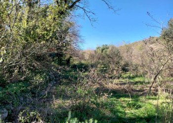 Non correlato - Terreno agricolo contrada Fasana, Modica - foto 14