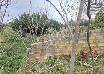 Giardino - Rustico s.s. 514 rg-ct
 
km 8, 400, Chiaramonte Gulfi - foto 16