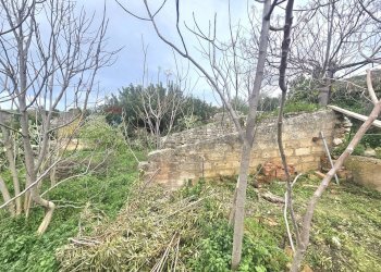 Giardino - Rustico s.s. 514 rg-ct
 
km 8, 400, Chiaramonte Gulfi - foto 17