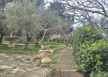 Giardino - Rustico s.s. 514 rg-ct
 
km 8, 400, Chiaramonte Gulfi - foto 23