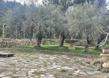 Giardino - Rustico s.s. 514 rg-ct
 
km 8, 400, Chiaramonte Gulfi - foto 24