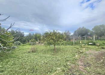 Giardino - Rustico s.s. 514 rg-ct
 
km 8, 400, Chiaramonte Gulfi - foto 26