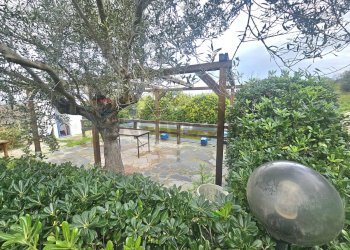 Giardino - Rustico s.s. 514 rg-ct
 
km 8, 400, Chiaramonte Gulfi - foto 30