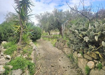Giardino - Rustico s.s. 514 rg-ct
 
km 8, 400, Chiaramonte Gulfi - foto 31