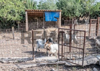 Casa all\'aperto - Rustico s.s. 514 rg-ct
 
km 8, 400, Chiaramonte Gulfi - foto 14