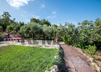 Giardino - Rustico s.s. 514 rg-ct
 
km 8, 400, Chiaramonte Gulfi - foto 16
