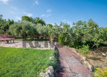 Giardino - Rustico s.s. 514 rg-ct
 
km 8, 400, Chiaramonte Gulfi - foto 17