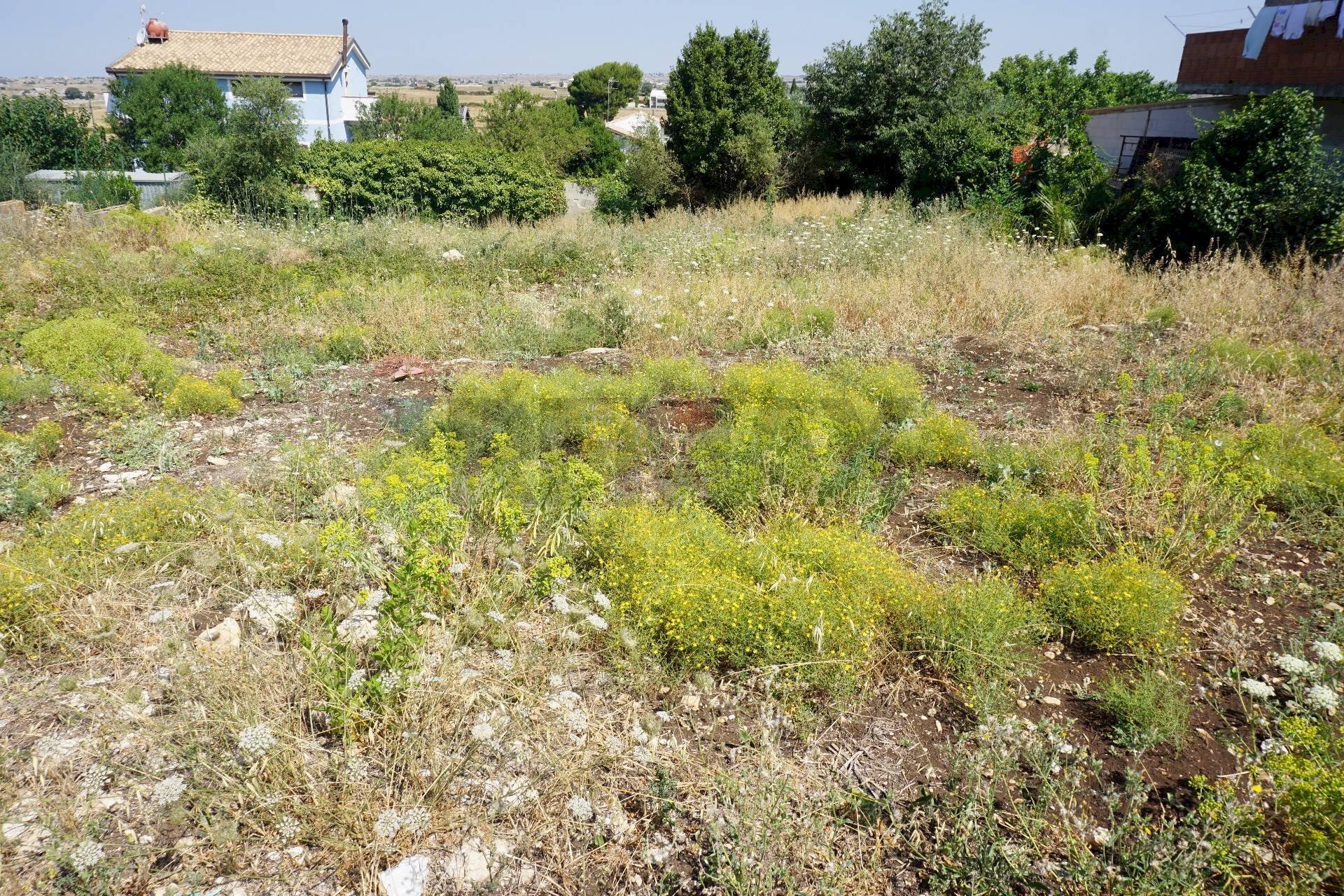 Giardino - Building land Ragusa - photo 3
