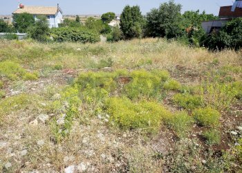 Giardino - Terreno edificabile Ragusa - foto 3