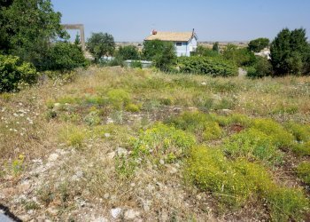 Giardino - Terreno edificabile Ragusa - foto 7