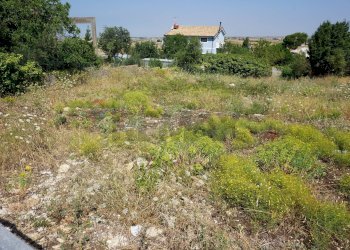 Giardino - Terreno edificabile Ragusa - foto 8