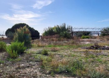 Non correlato - Terreno agricolo località  berdia vecchia
 
snc, Vittoria - foto 3
