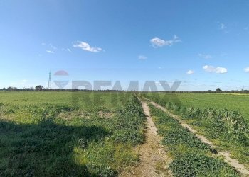 Giardino - Villa Via Per Colemi
 
snc, Brindisi - foto 7