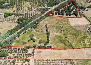 Foto 1 - Agricultural land Via Delle Selve, Lanuvio - photo 1