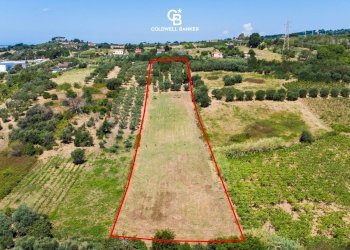 Foto 2 - Agricultural land Via Delle Selve, Lanuvio - photo 2