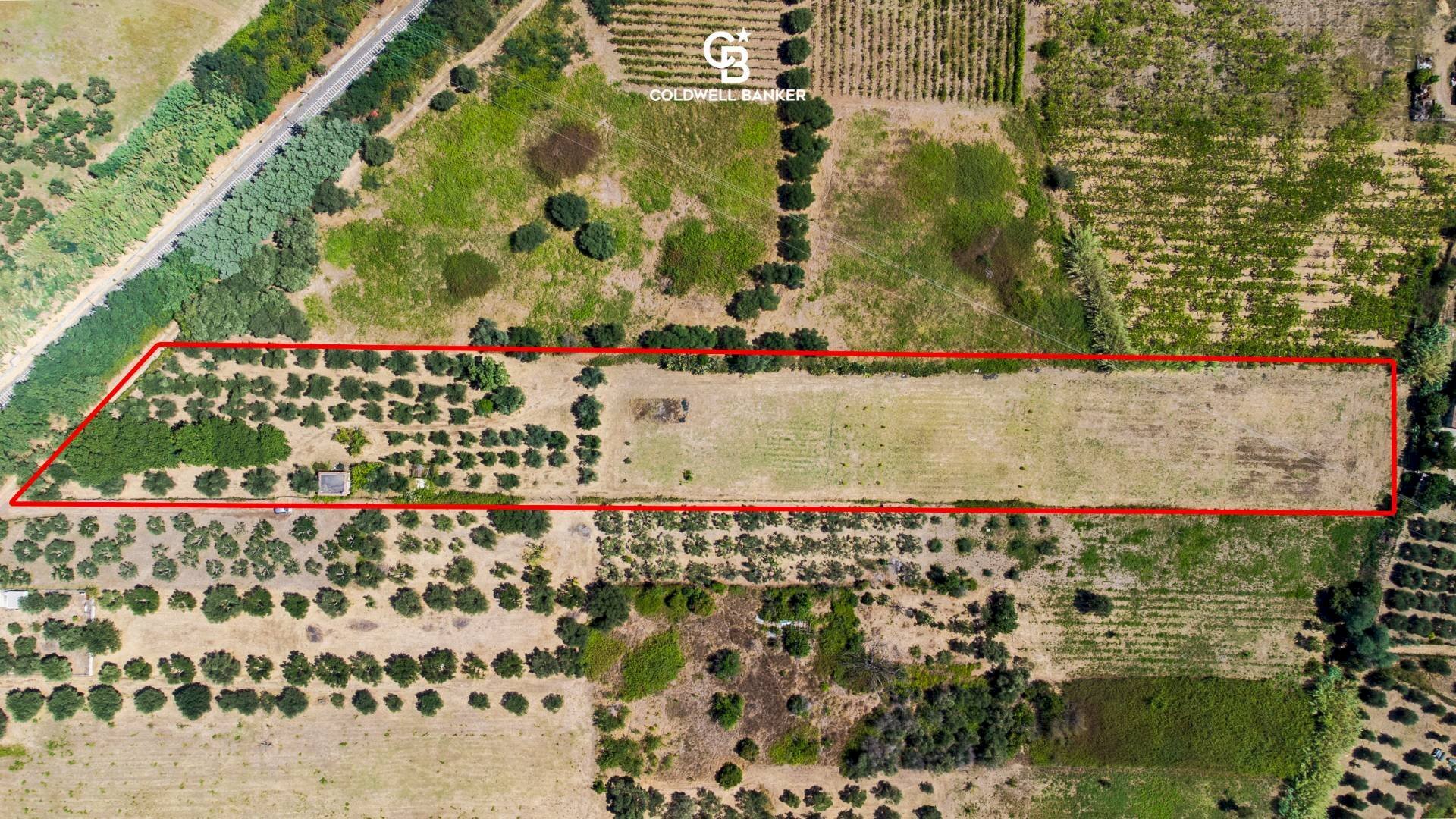 Foto 3 - Agricultural land Via Delle Selve, Lanuvio - photo 3