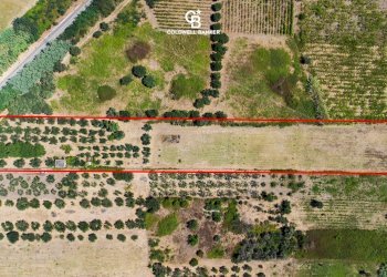 Foto 3 - Agricultural land Via Delle Selve, Lanuvio - photo 3