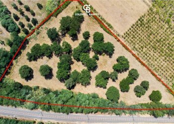 Foto 4 - Agricultural land Via Delle Selve, Lanuvio - photo 4