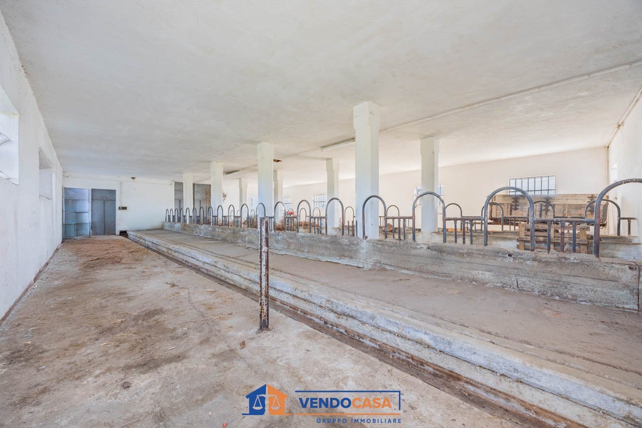 Magazzino Centallo - foto 2