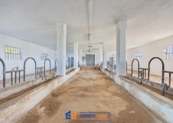 Magazzino Centallo - foto 3