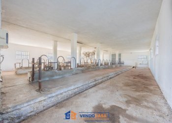 Magazzino Centallo - foto 4