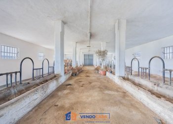 Magazzino Centallo - foto 5