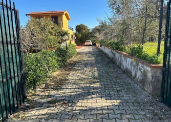 Giardino - Villa a Schiera Carini - foto 15