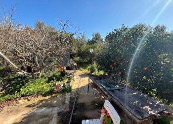 Giardino - Villa a Schiera Carini - foto 35