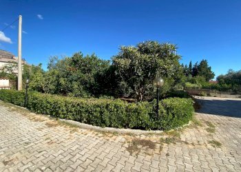 Giardino - Villa a Schiera Carini - foto 54