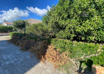 Giardino - Villa a Schiera Carini - foto 55