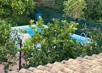 Giardino - Villa a Schiera Carini - foto 66