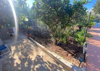 Giardino - Villa a Schiera Carini - foto 68