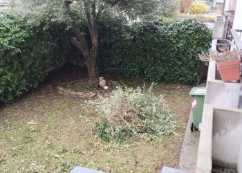 Foto 12 - Bilocale via dei gelsi
 
20, Bernareggio - foto 12