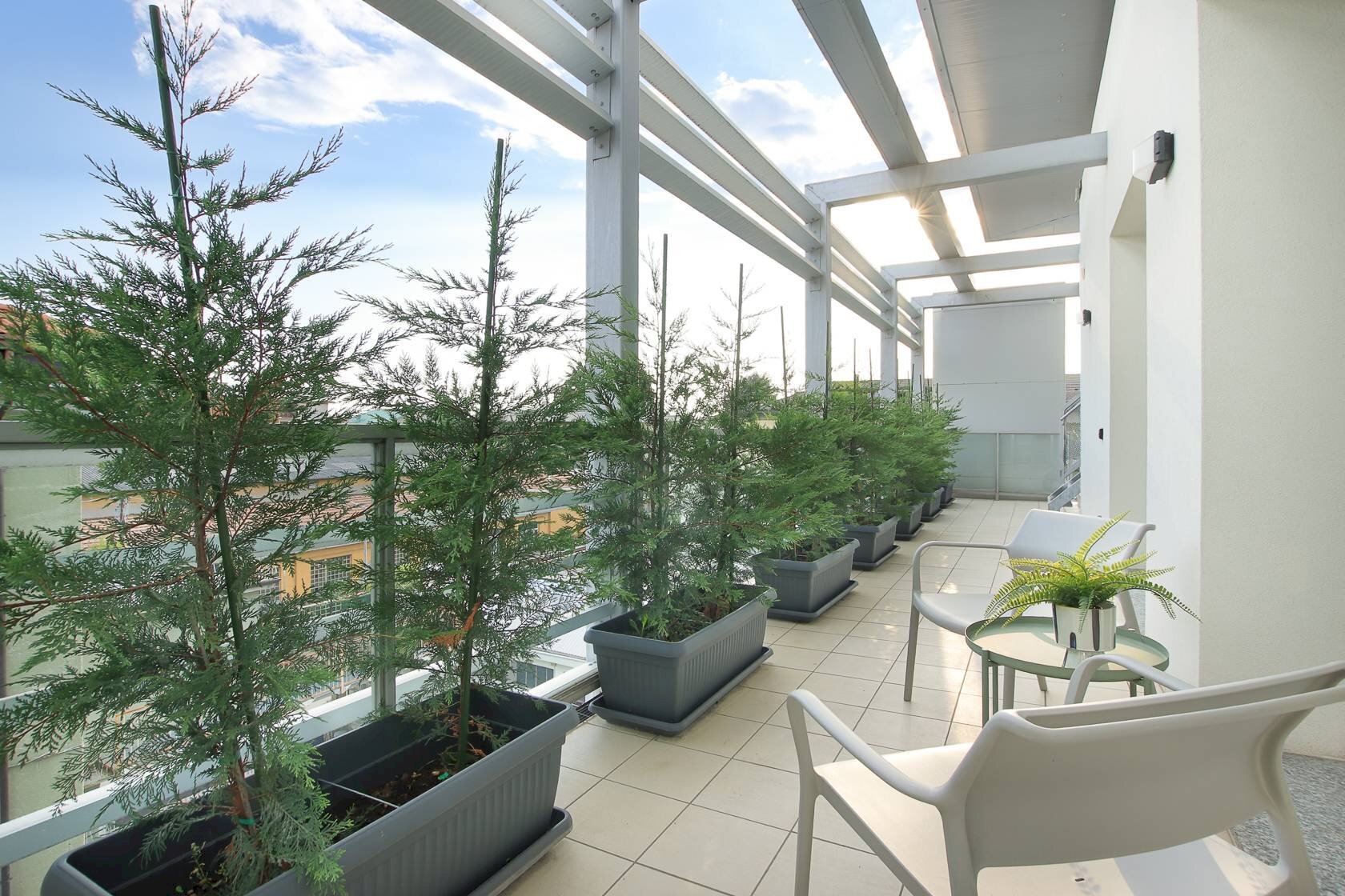 ESTERNA - Trilocale Via Monte Cenisio
 
9/C, Bergamo - foto 3