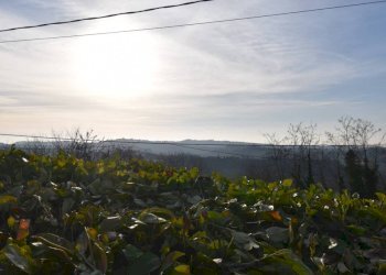 Terreno - Rustico Regione San Rocco, Agliano Terme - foto 17